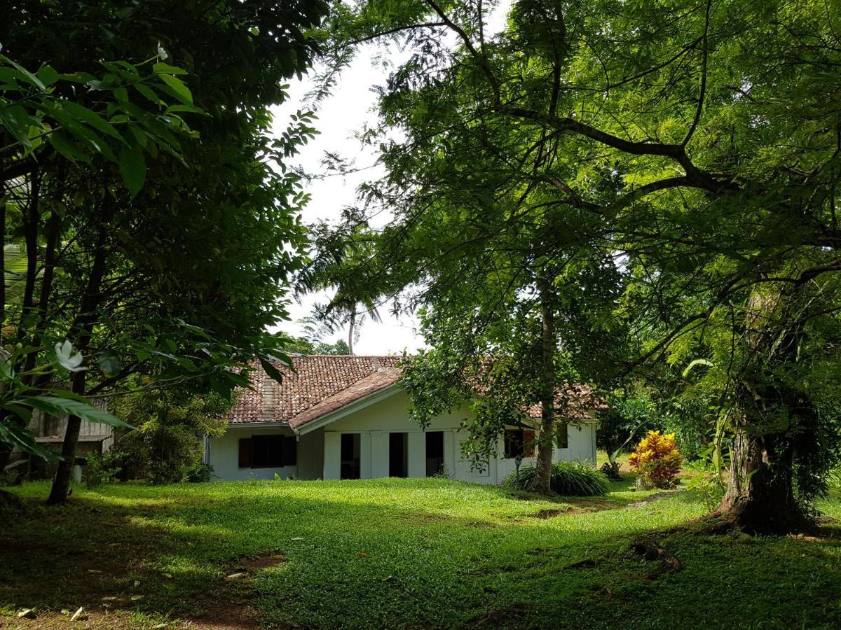 Hotel Chitra Ayurveda Bentota Esterno foto