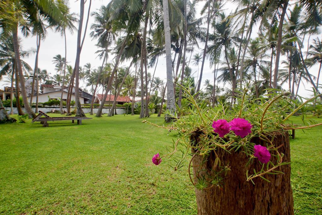 Hotel Chitra Ayurveda Bentota Esterno foto