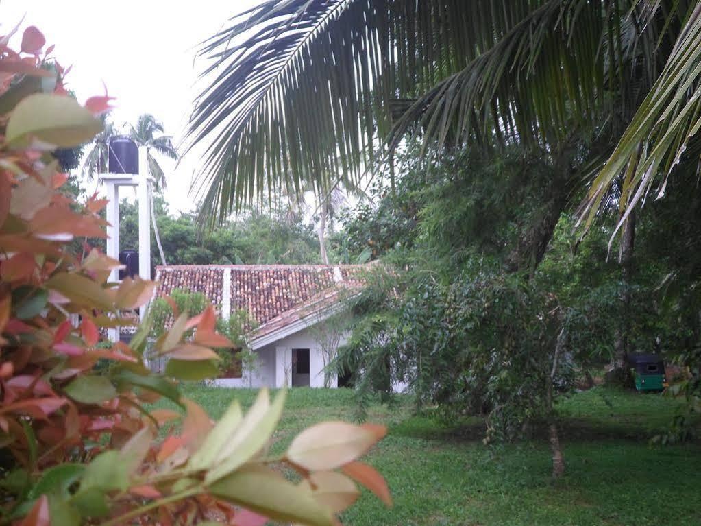Hotel Chitra Ayurveda Bentota Esterno foto